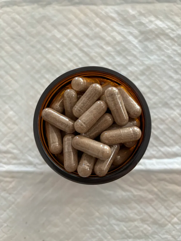 A close-up of finished placenta capsules